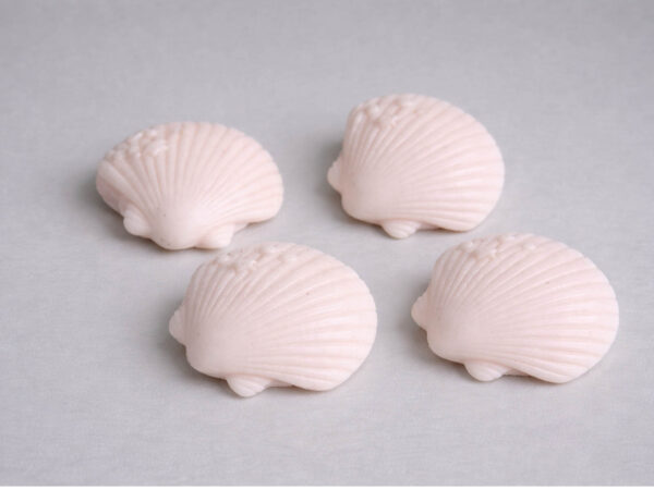 Muschel – Bild 3