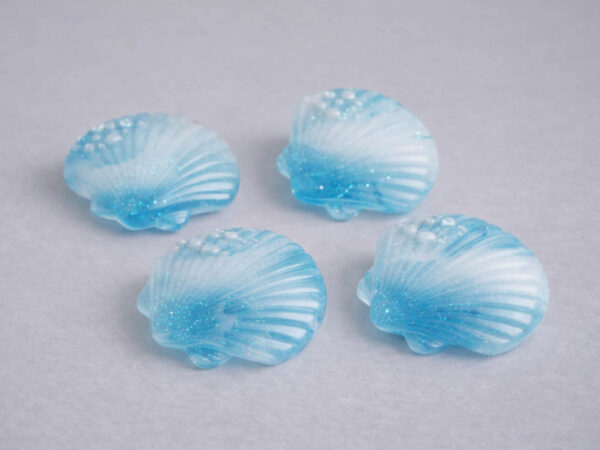 Muschel – Bild 2