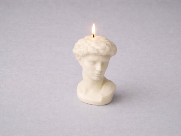 David Oberkörper – Bild 3